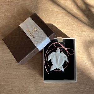 Turtle – Earth Shell